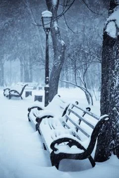 Benches in the winter park Stock Photos