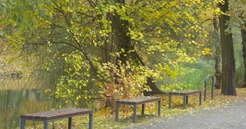 Benches Without Backs Along The Paved Road Park Pond Calm Water Trees With Stock Footage 56942481