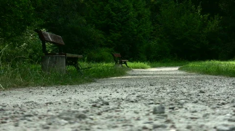 Benches2 Video stock 808998