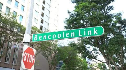 Bencoolen Link Street Stock Footage 244216540
