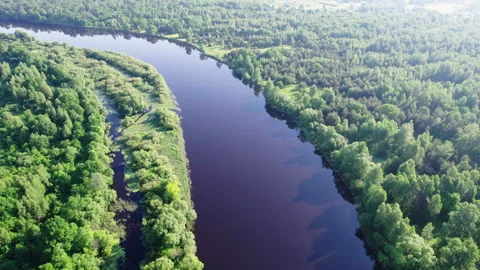Bend of a dark-water river with tributaries in a wooded area 스톡 동영상 157780965