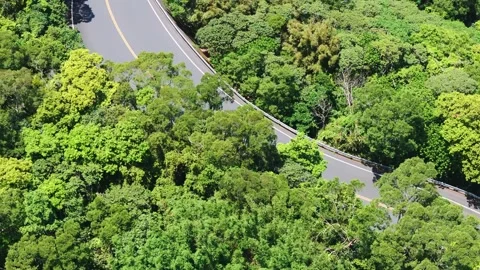 Bend in the Green 스톡 동영상 320877712