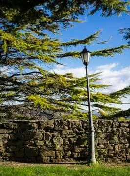 Bend lamp in a park with trees Foto stock