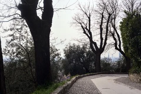 Bend in a paved path of a park bordered by bare trees and a hedge on a clou.. Stock Photos