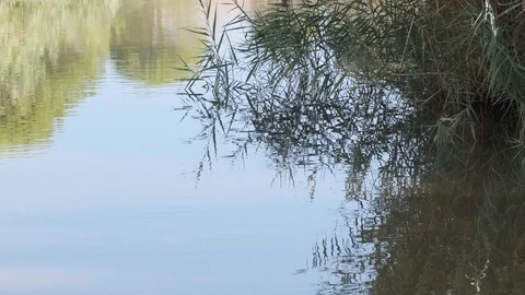 Bend of the river Stock Footage 115587906