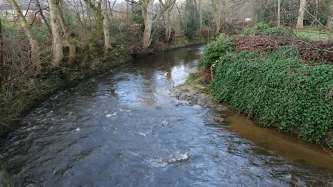 Bend in the river Stock Footage 167007818