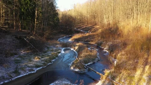 Bend of the river in the forest. Yellow grass all around. The sun shines on the Stock Footage 145557492