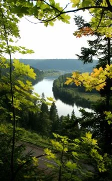 Bend in the river, framed by maple leaves Stock Photos