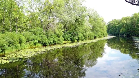 The bend of a small river. Stock Footage 80505056