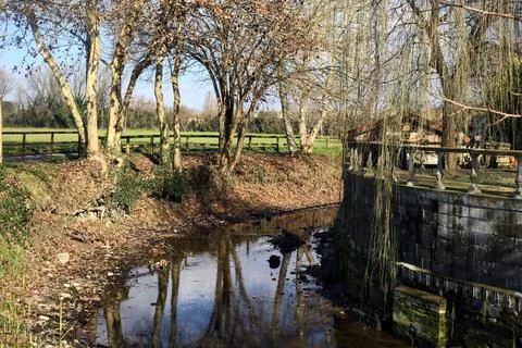 Bend in a stream of water bordered by trees on a sunny day in the italian c.. Stock Photos