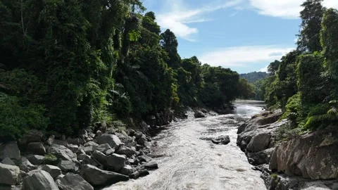 Bendak, 17 Juni 2025 Stock Footage 311421223