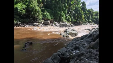 Bendak rapids Stock Footage 311969007