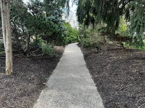 Bending pathway in the park Stock Photos