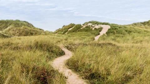 Bending trail through the sand dunes Stock Photos