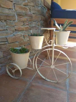 Bendones Stock Photos