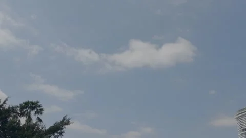 Beneath the azure sky, white clouds drift above the palm trees. Video stock 341802162