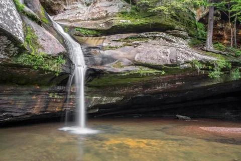 Beneath Cedar Fall Stock Photos