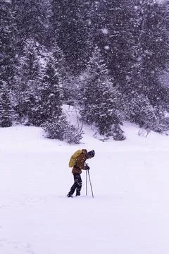 Beneath the Mountains of Bavaria. Stock Photos