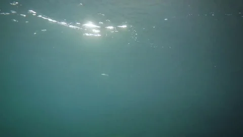 Beneath the Surface Vídeo Stock 76793741
