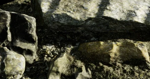 Beneath the warm afternoon light, a rocky riverbed showcases intricate textures Stock Footage 318418997
