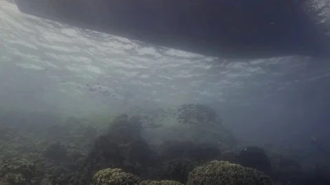 Beneath the waves, with fish shoal and boat outline Stock Footage 79837956