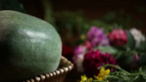 Benefit water and remove fire, wax gourd for health preservation (5) Stock Footage 202260524