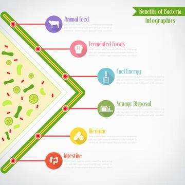 Benefits of bacteria infographics, vector eps10 Stock Illustration