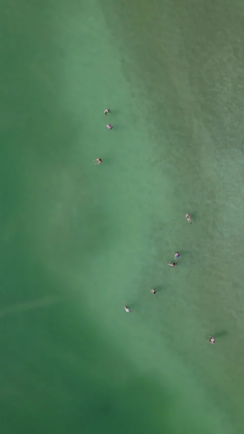 The benefits of bathing in the Dead Sea are the salts that make people relax Stock Footage 313925445