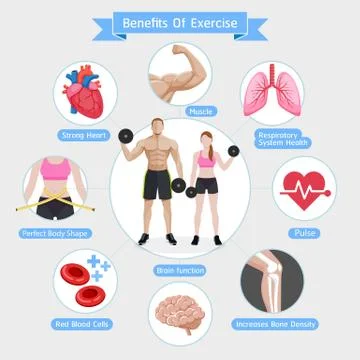 Benefits of exercise. Vector illustrations diagram.. Stock Illustration