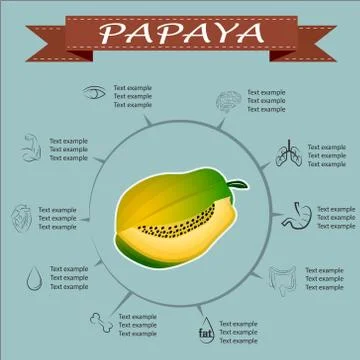 Benefits of Papaya, vector Stock Illustration