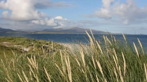 Beneray Beach scene 動画素材 55542900