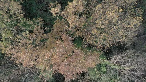 Benevento Stock Footage 122176102