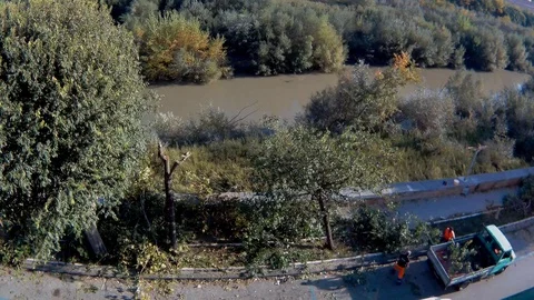 Benevento - Time lapse della raccolta di rami di potatura Stock Footage 119280755