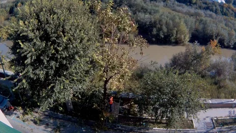 Benevento - Time lapse di una potatura di albero Stock Footage 119280691