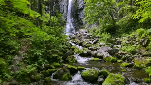 Benevskoy waterfall path through the forest, Primorsky Krai Stock Footage 226417824