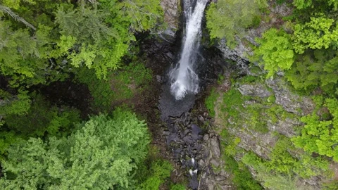 Benevskoy waterfall path through the forest, Primorsky Krai Stock Footage 226417962
