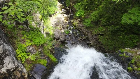 Benevskoy waterfall path through the forest, Primorsky Krai Stock Footage 226418106
