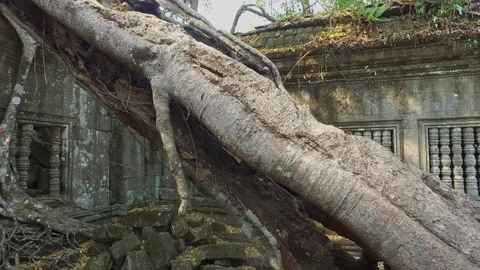 Beng Mealea Temple Interior Courtyard Stock Footage 73238165