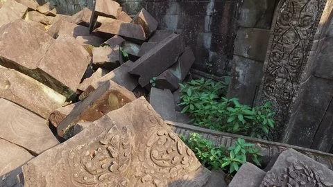 Beng Mealea Temple Interior Wall And Tree Stock Footage 73239395