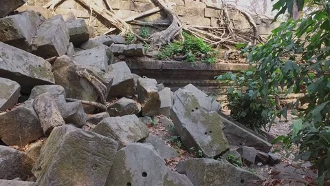 Beng Mealea Temple Structure And Trees Stock Footage 73238015