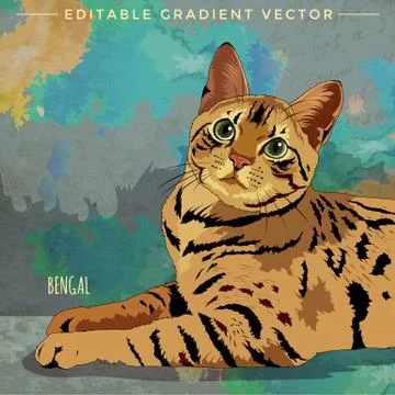 Bengal Cat Illustration Stock Illustration
