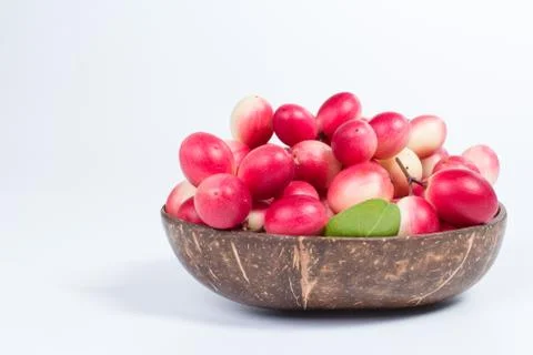 Bengal-Currants on coconut shell Stock Photos