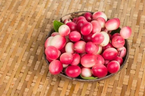The bengal-currants in coconut shell Stock Photos
