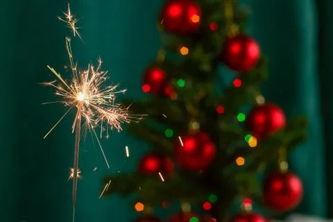 Bengal fire Фото