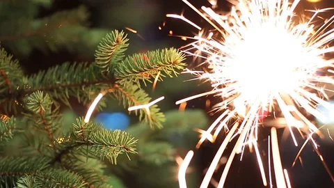 Bengal light burning with bright sparkles on fir-tree background Stock Footage 83000683
