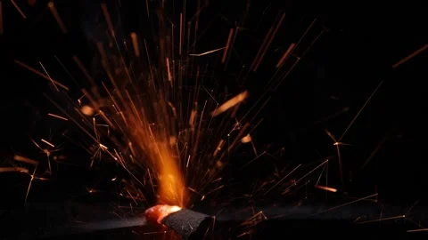 Bengal Piece Macro Slow Mo Stock Footage 296686353