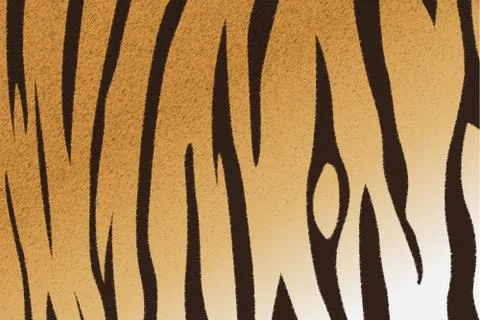 Bengal tiger stripe pattern Illustrazione stock
