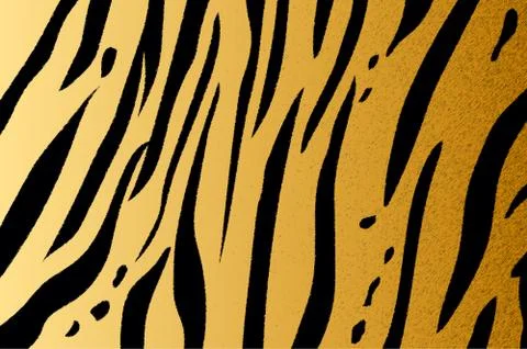 Bengal tiger stripe pattern Illustrazione stock