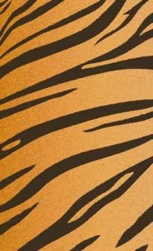 Bengal tiger stripe pattern Stock Illustration