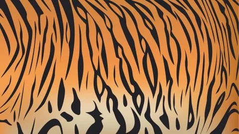Bengal tiger stripe pattern Stock Illustration